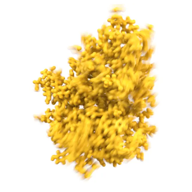 Animated image of a dynamic protein.