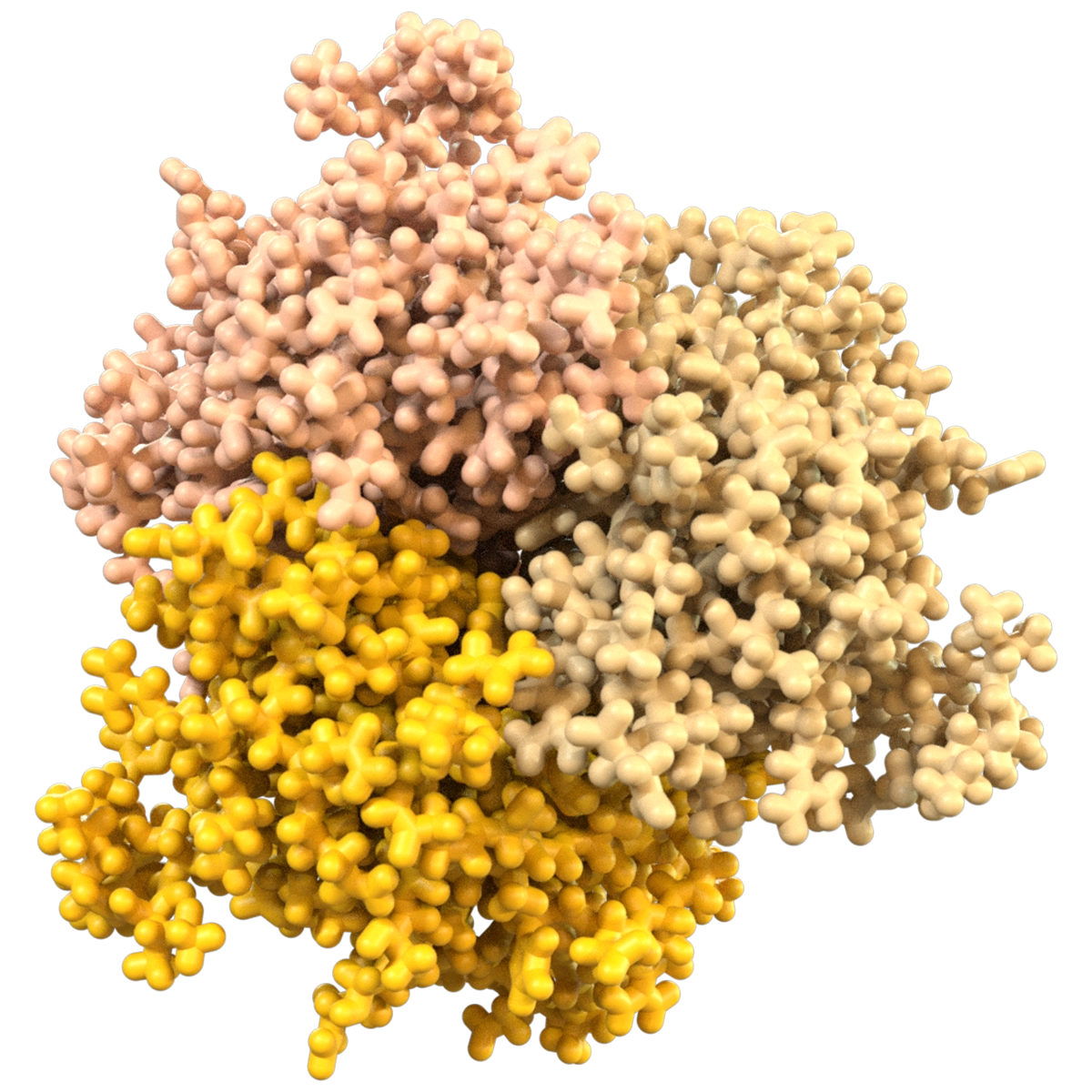 Model of RANKL Protein