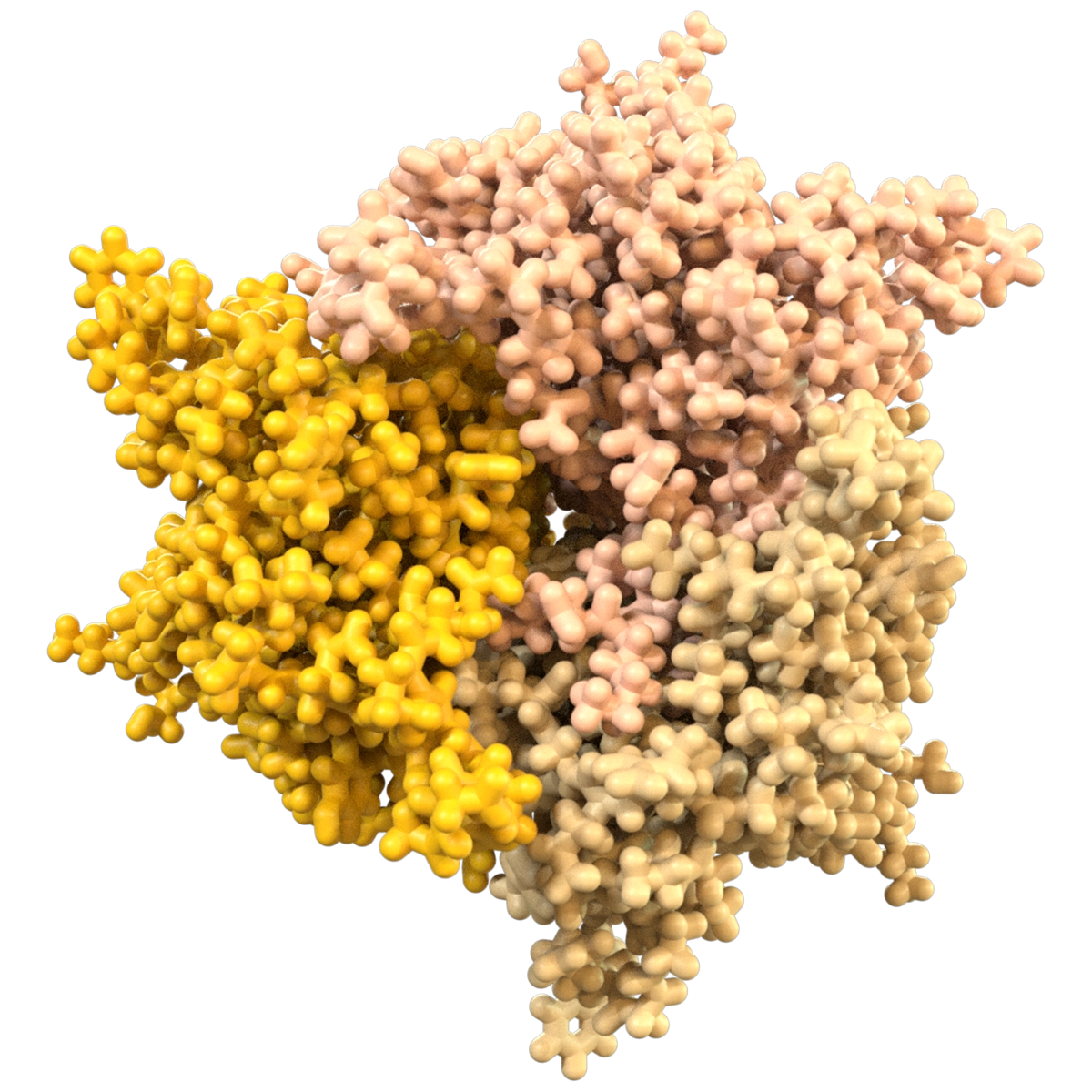 Model of CD40L Protein