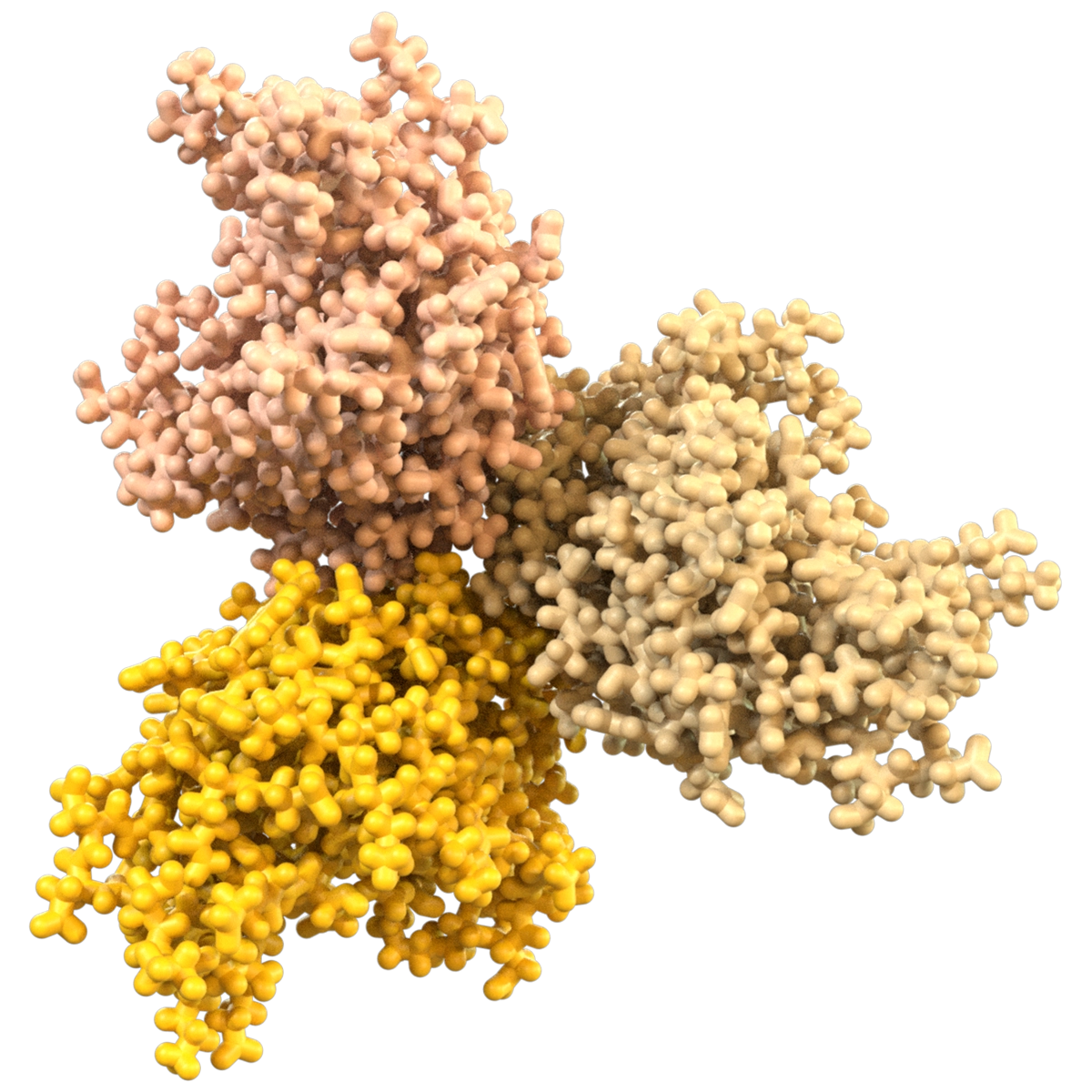 Model of OX40L Protein