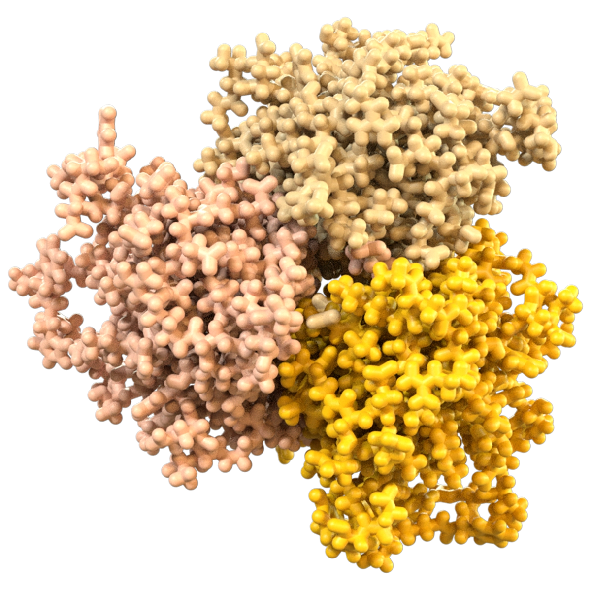 Model of TL1A Protein